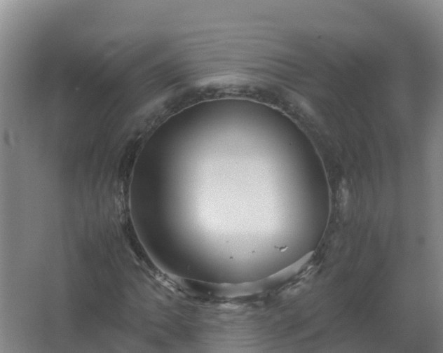 X0000067461062200604142319