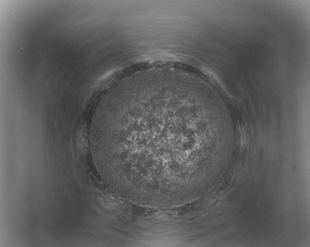 X0000067461063200604142319