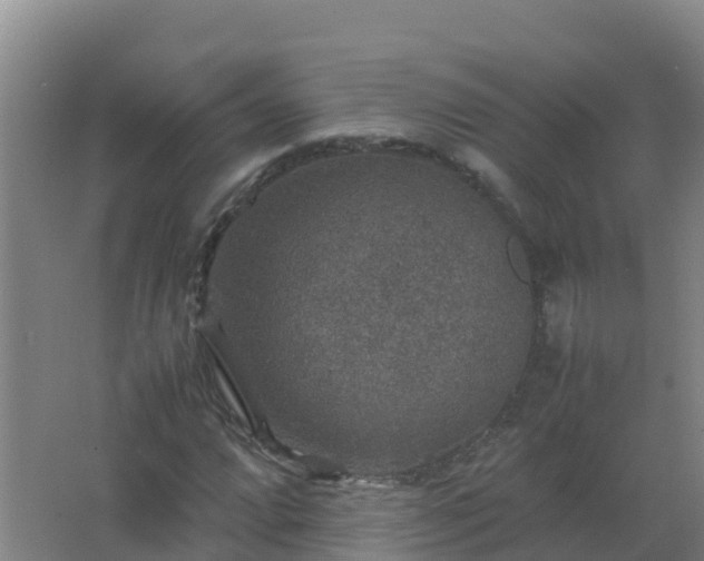 X0000067461064200604142319