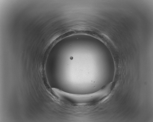 X0000067461065200604142319