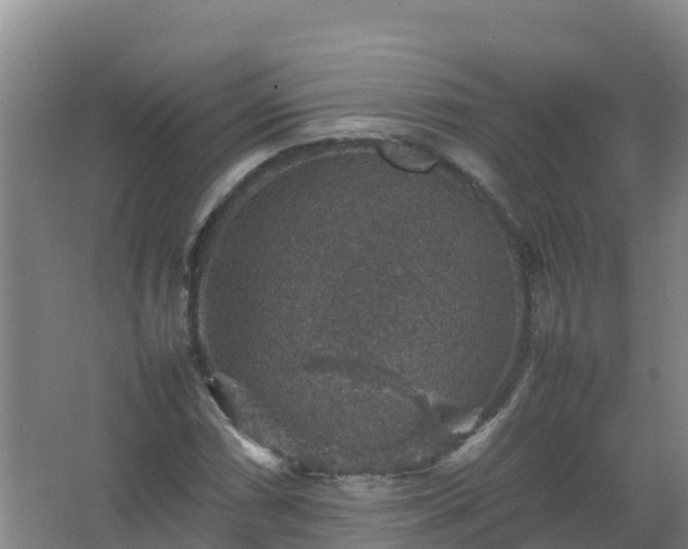 X0000067461066200604142319