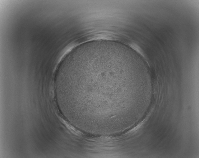 X0000067461067200604142319