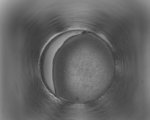 X0000067461068200604142319