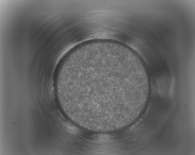 X0000067461070200604142319