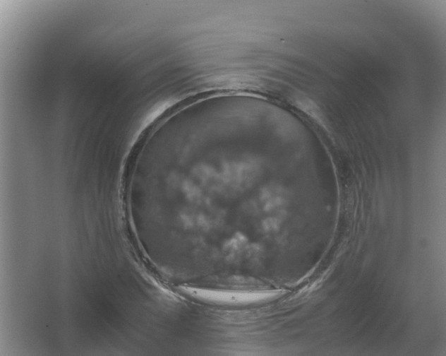 X0000067461071200604142319