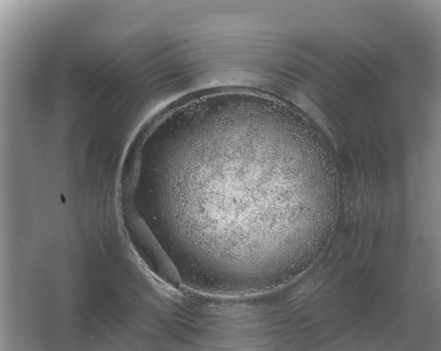 X0000067461072200604142319