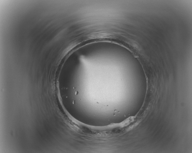 X0000067461073200604142319