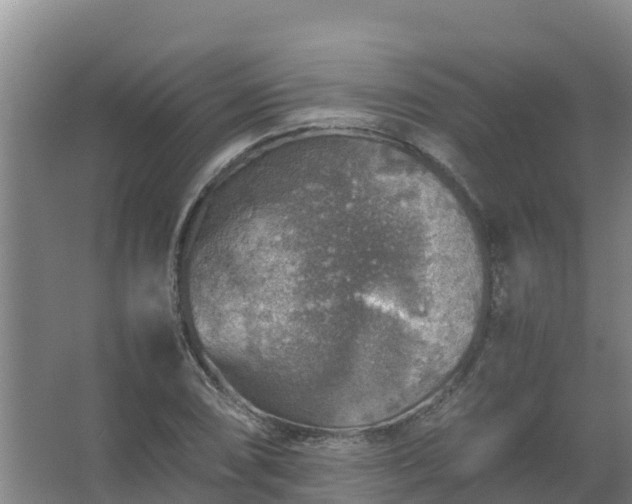 X0000067461074200604142318