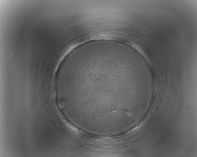 X0000067461075200604142318