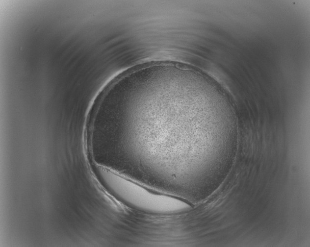 X0000067461076200604142318