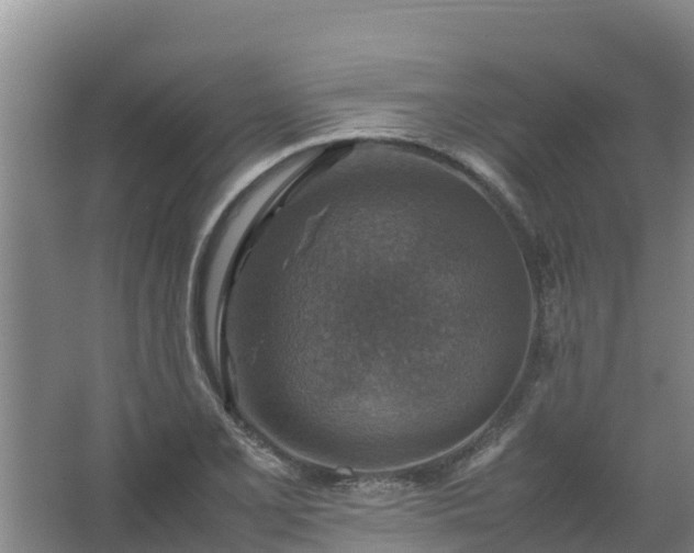 X0000067461077200604142318