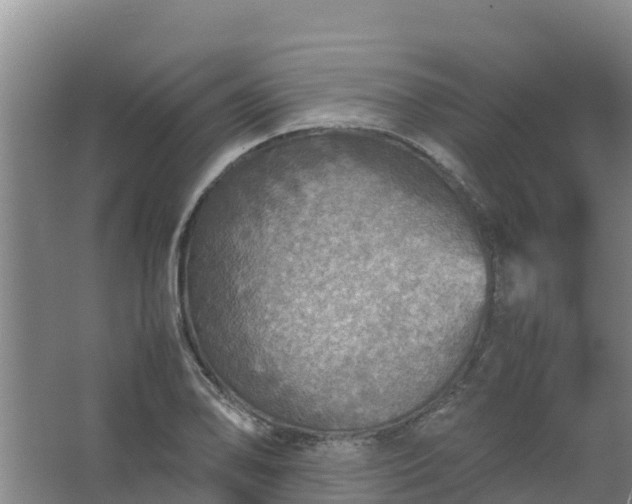 X0000067461078200604142318