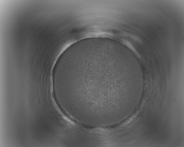 X0000067461079200604142318