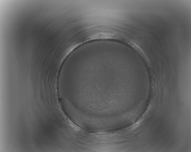 X0000067461081200604142318