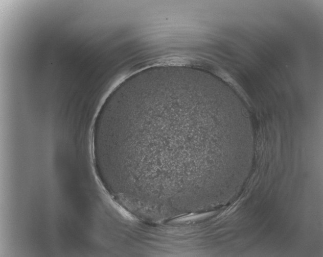 X0000067461083200604142318