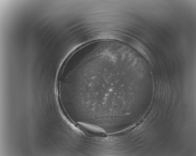 X0000067461084200604142318