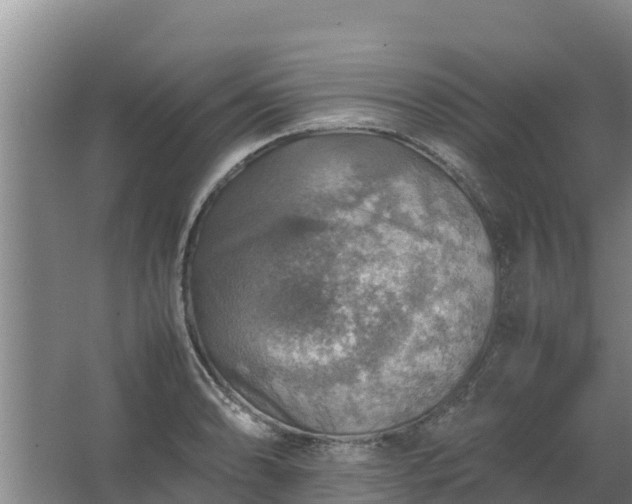 X0000067461086200604142318