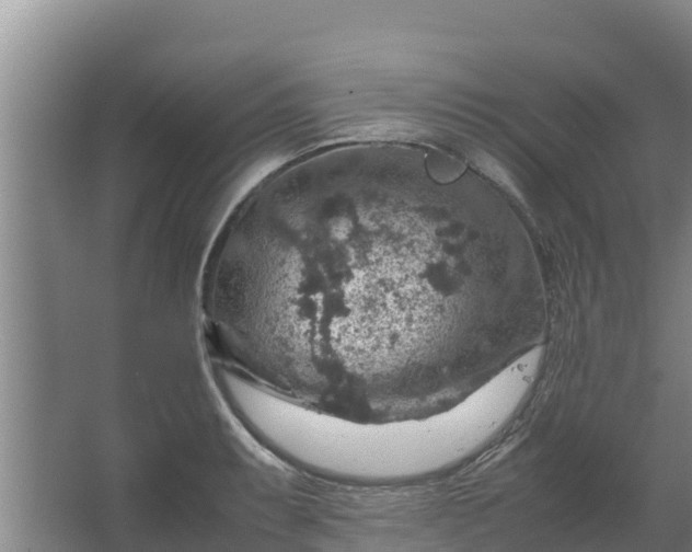 X0000067461087200604142318