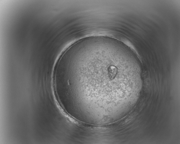 X0000067461088200604142318