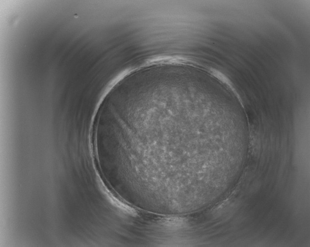 X0000067461090200604142318