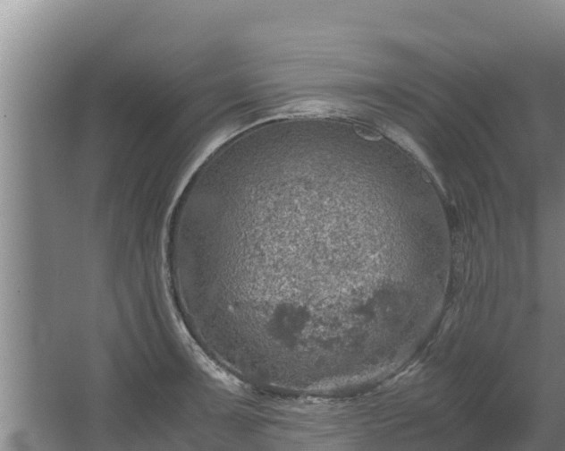 X0000067461091200604142318