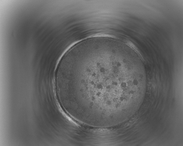 X0000067461092200604142318