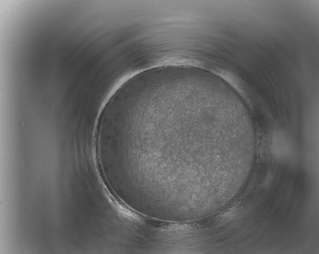 X0000067461094200604142318