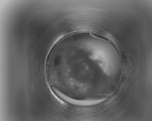 X0000067461095200604142318