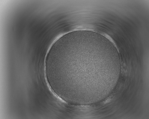 X0000067461096200604142318