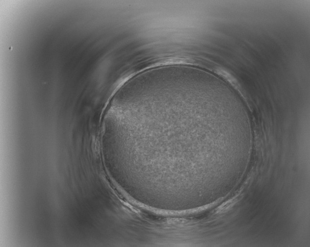 X0000067461097200604142318