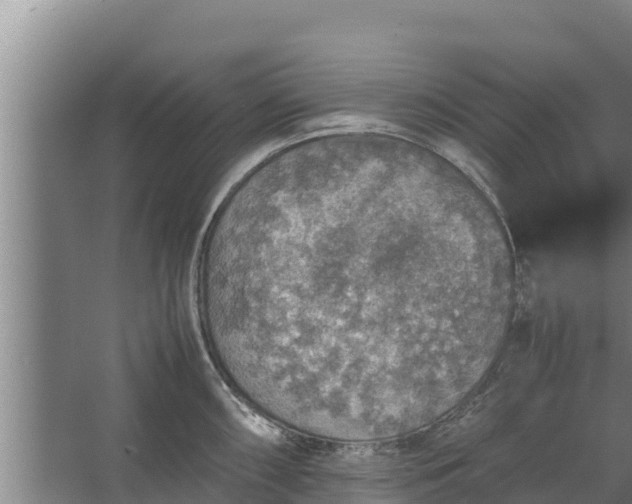 X0000067461098200604142318