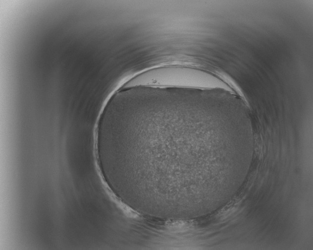 X0000067461099200604142318