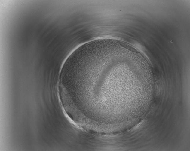 X0000067461100200604142318