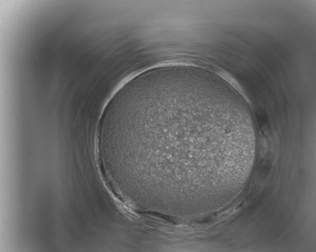 X0000067461101200604142318