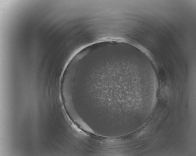 X0000067461102200604142318