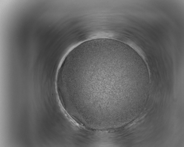 X0000067461104200604142318