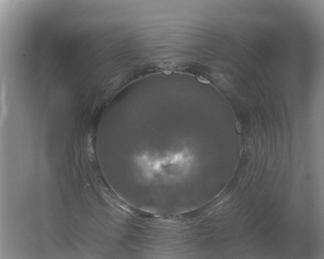 X0000067461106200604142317