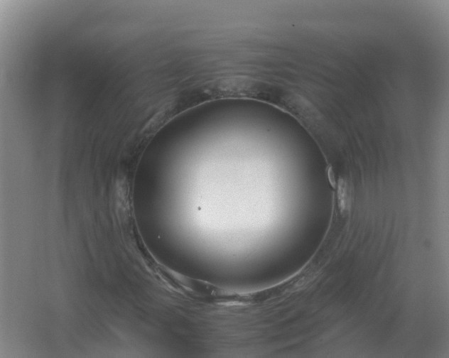 X0000067461107200604142317