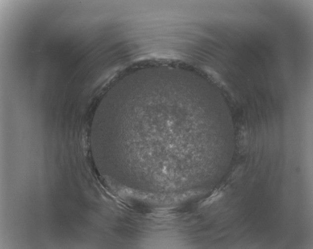 X0000067461110200604142317