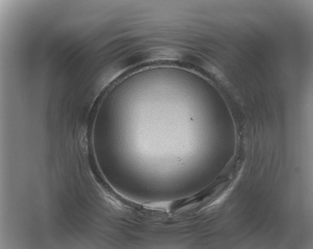 X0000067461113200604142317