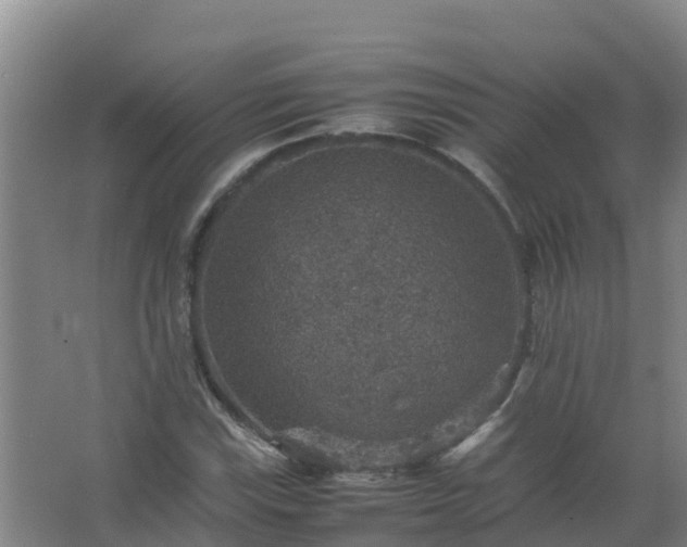 X0000067461115200604142317