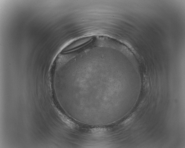 X0000067461118200604142317