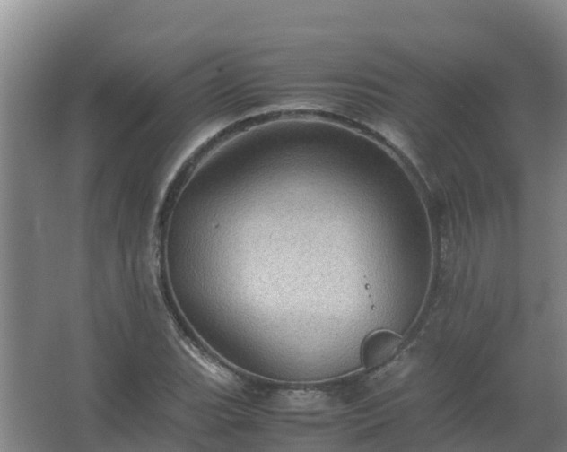 X0000067461119200604142317