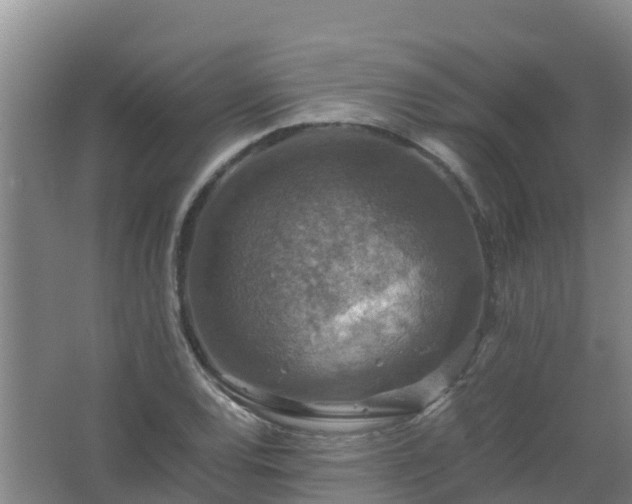 X0000067461120200604142317