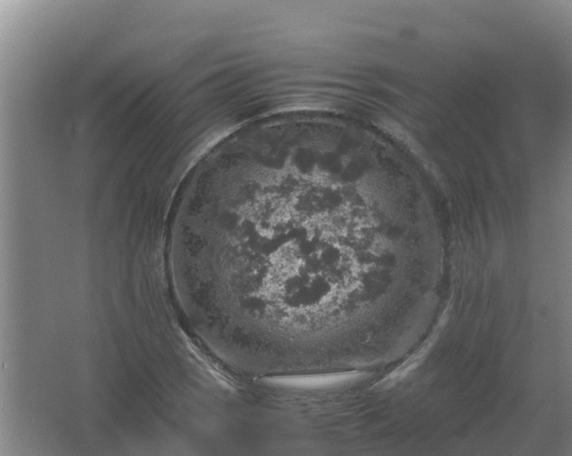 X0000067461121200604142317