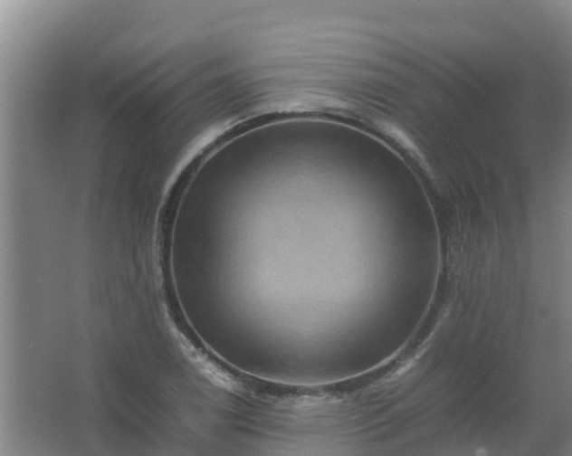 X0000067461122200604142317