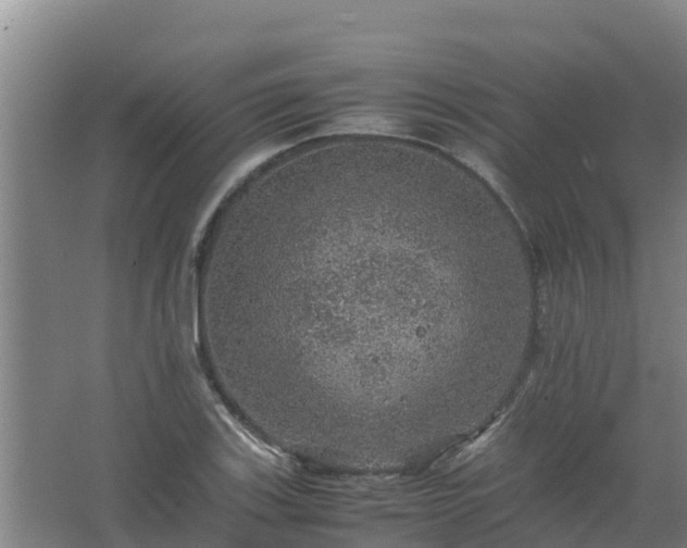 X0000067461123200604142317