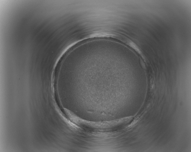 X0000067461124200604142318