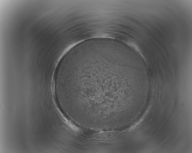 X0000067461125200604142318