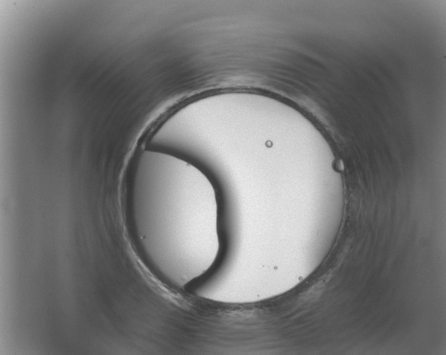 X0000067461126200604142318